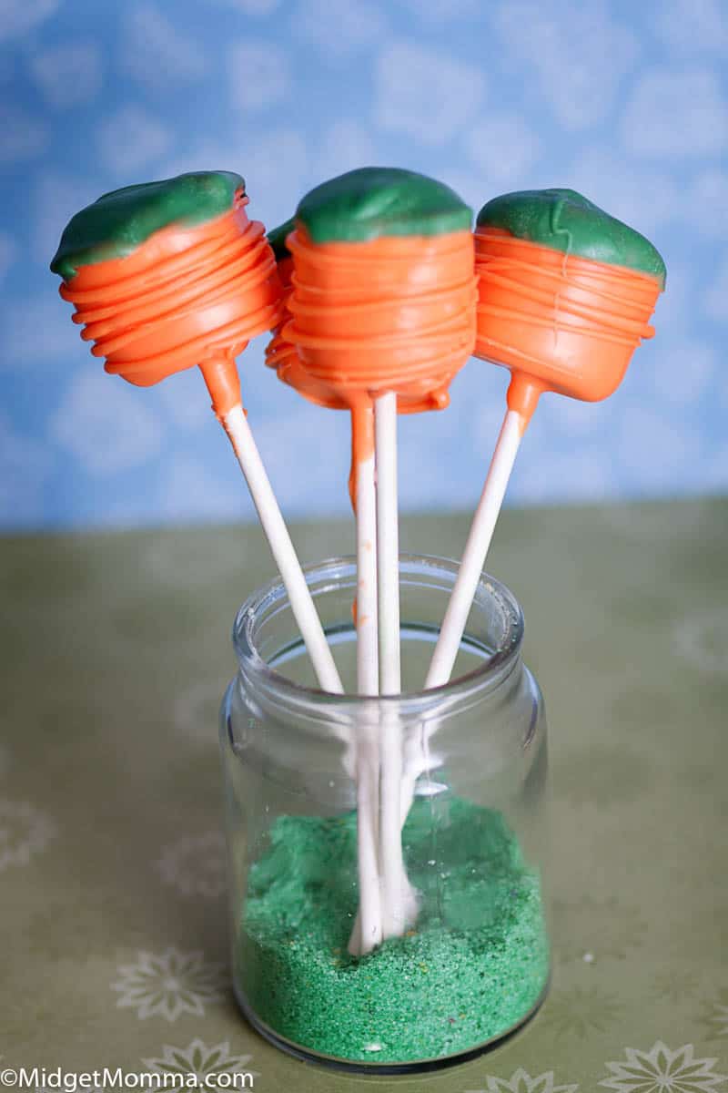 Carrot Marshmallow Pops