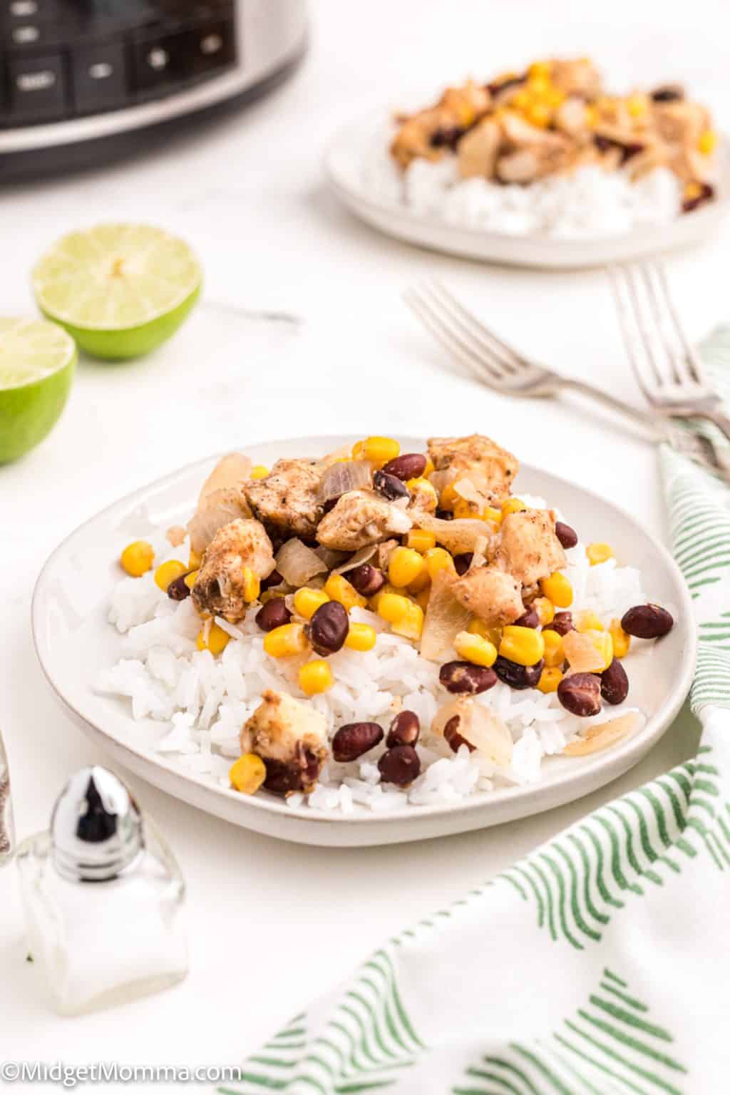 Slow Cooker Mexican Chicken and Rice • MidgetMomma