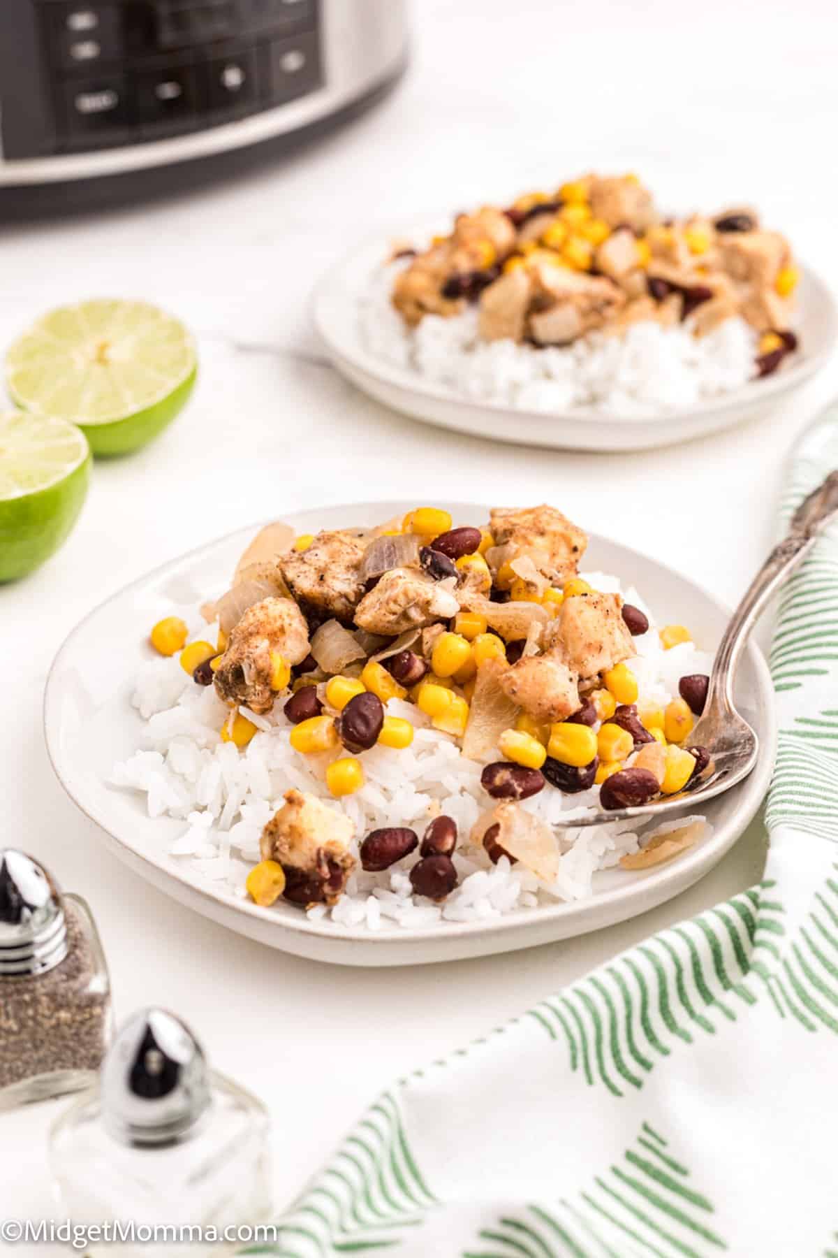 Slow Cooker Mexican Chicken and Rice
