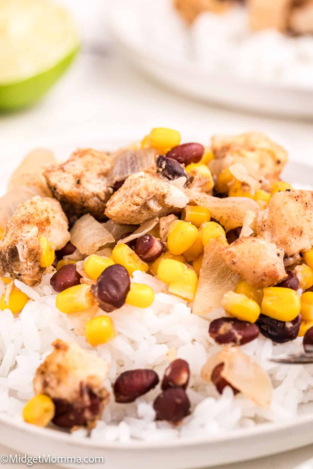 Slow Cooker Mexican Chicken and Rice