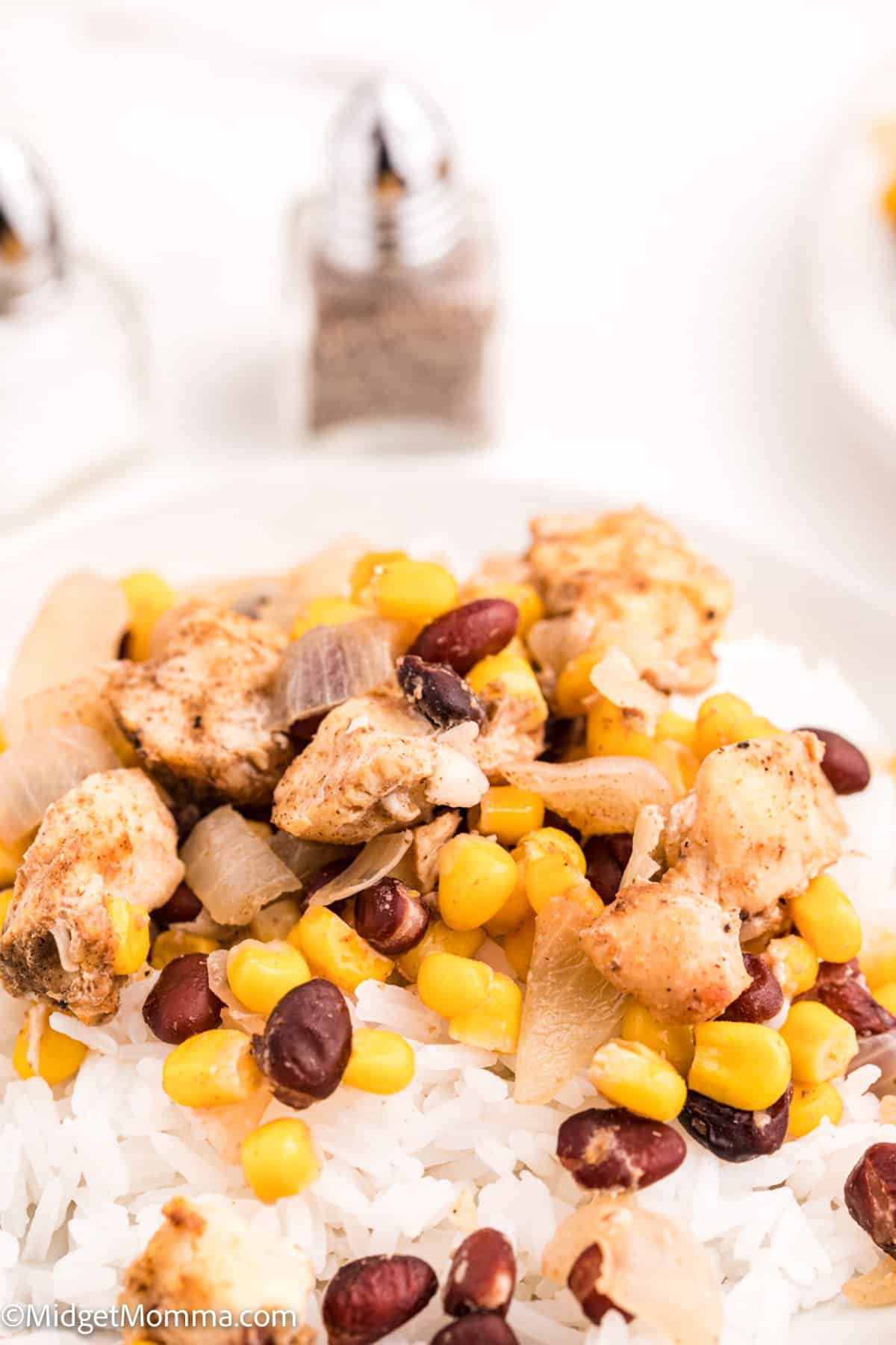 Slow Cooker Mexican Chicken and Rice • MidgetMomma