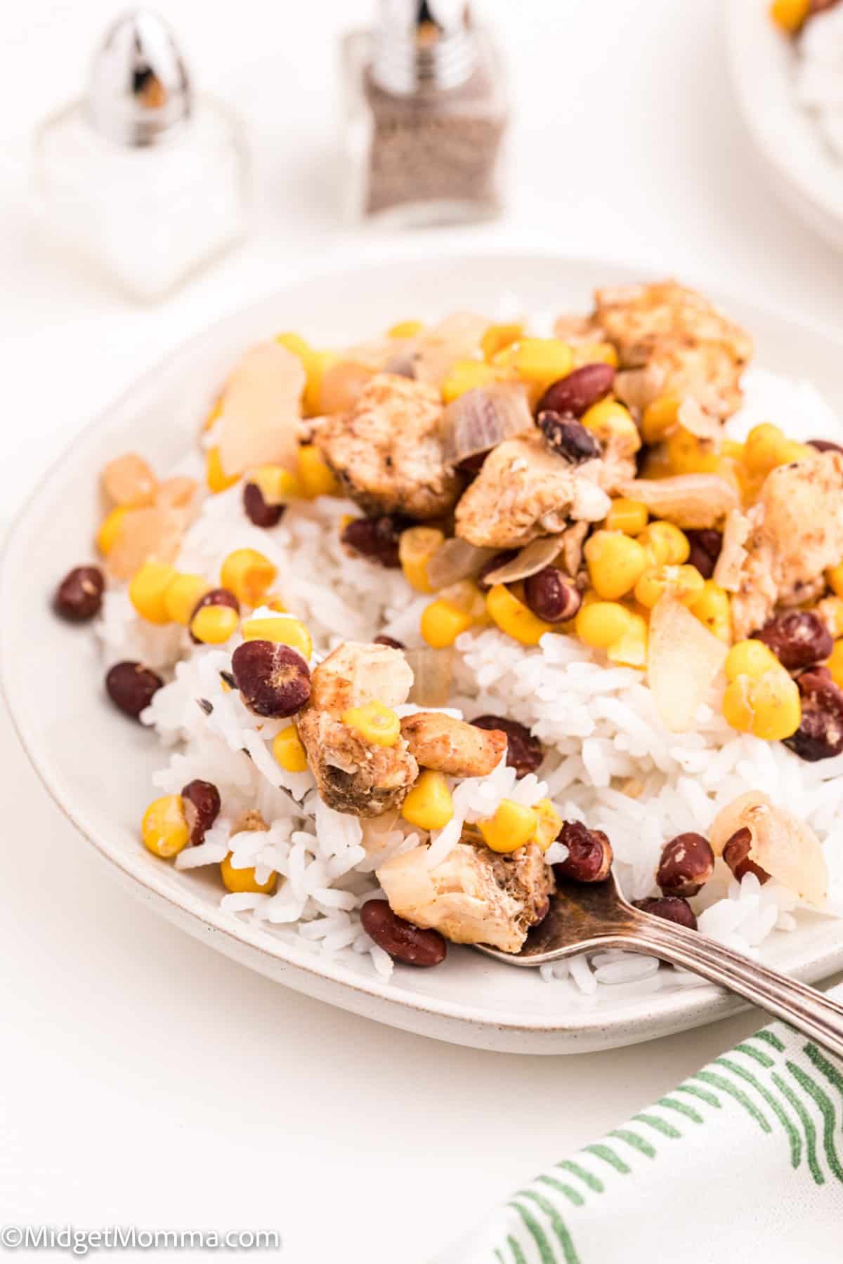 Slow Cooker Mexican Chicken and Rice