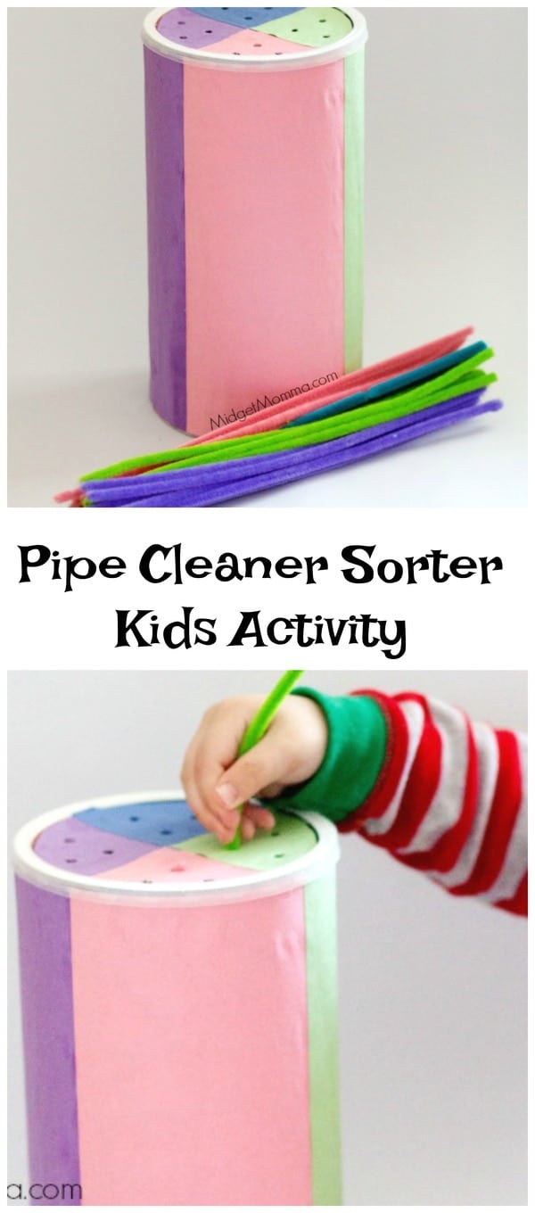 Pipe Cleaner Sorter Kids Activity • MidgetMomma
