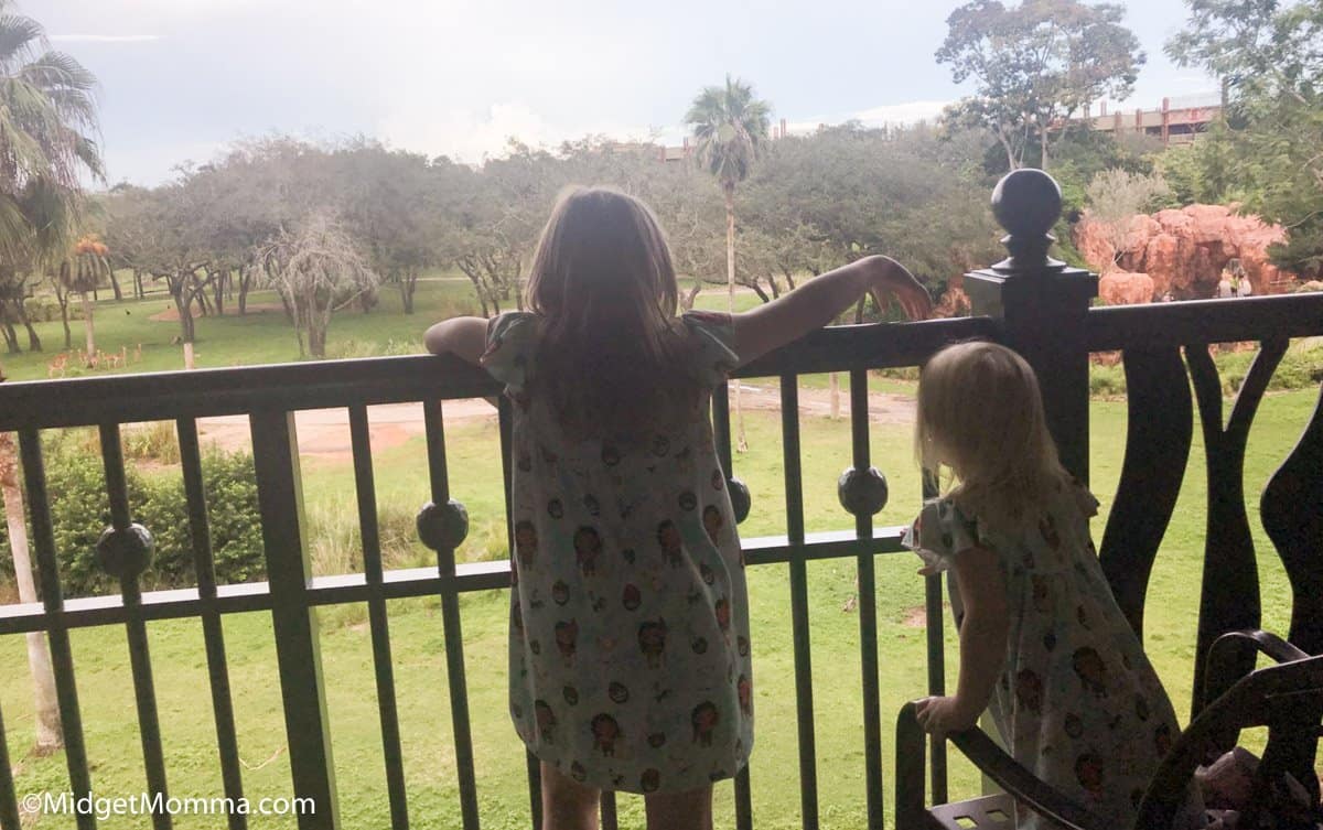 Watching animals at Animal Kingdom lodge