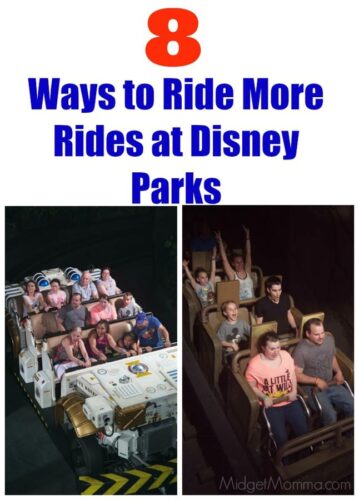 Disney Park Rides