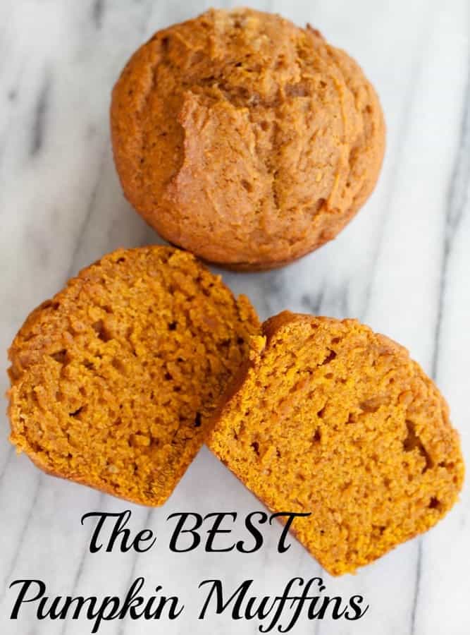 Pumpkin Muffins