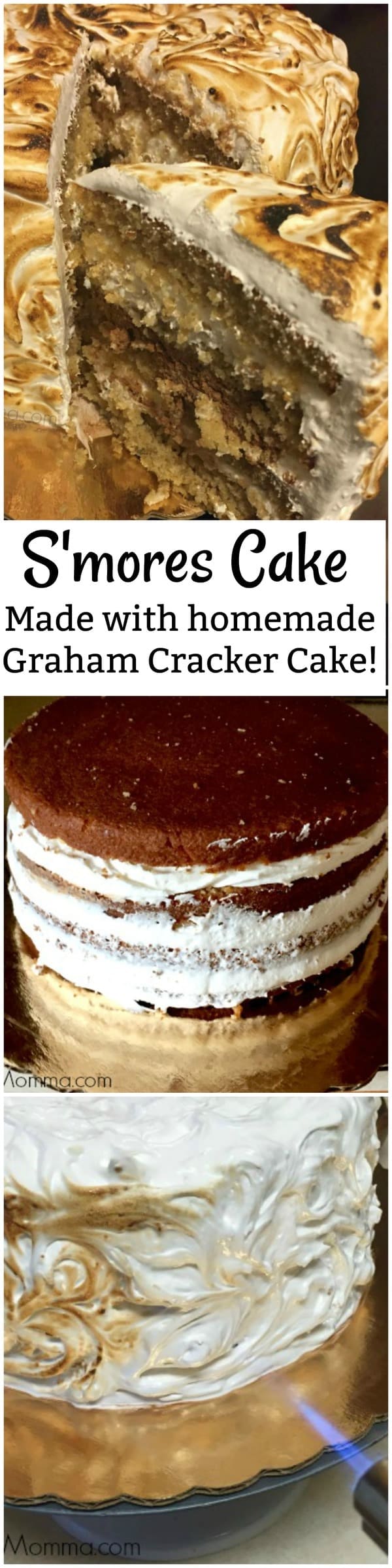 S'mores Cake {Made with Homemade Graham Cracker Cake}