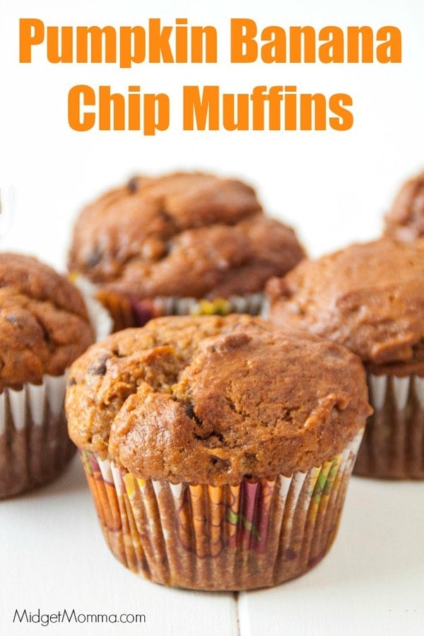 Pumpkin Chocolate chip muffins. Easy homemade pumpkin muffins with chocolate chips.