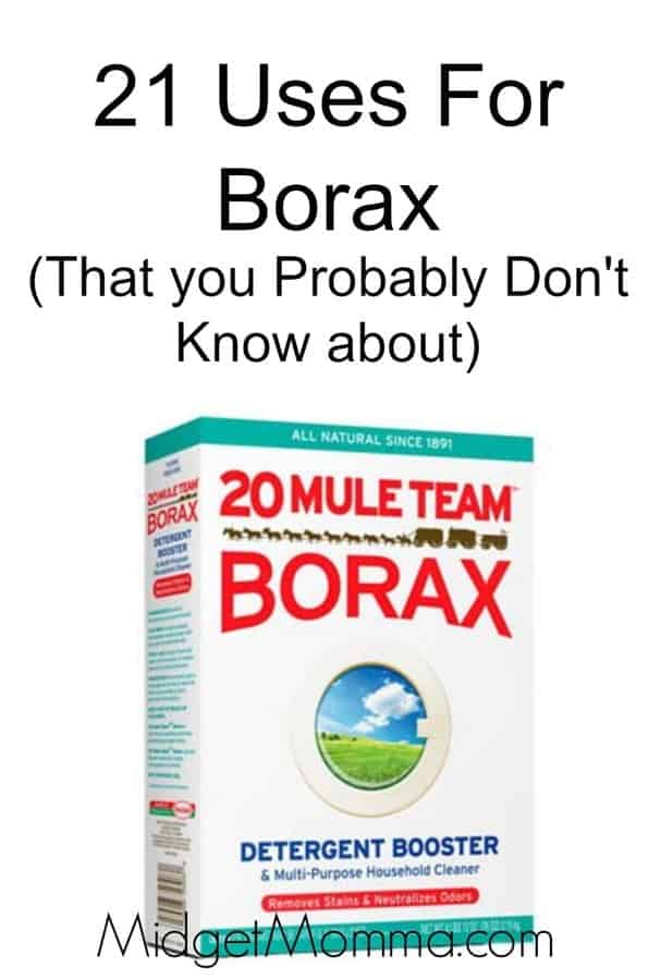 21-uses-for-borax-that-you-probably-dont-know-about