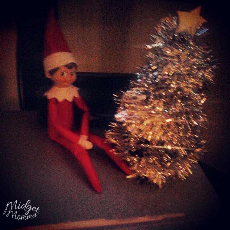 elf on the shelf pictures