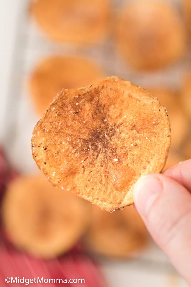 hand holding a homemade potato chip