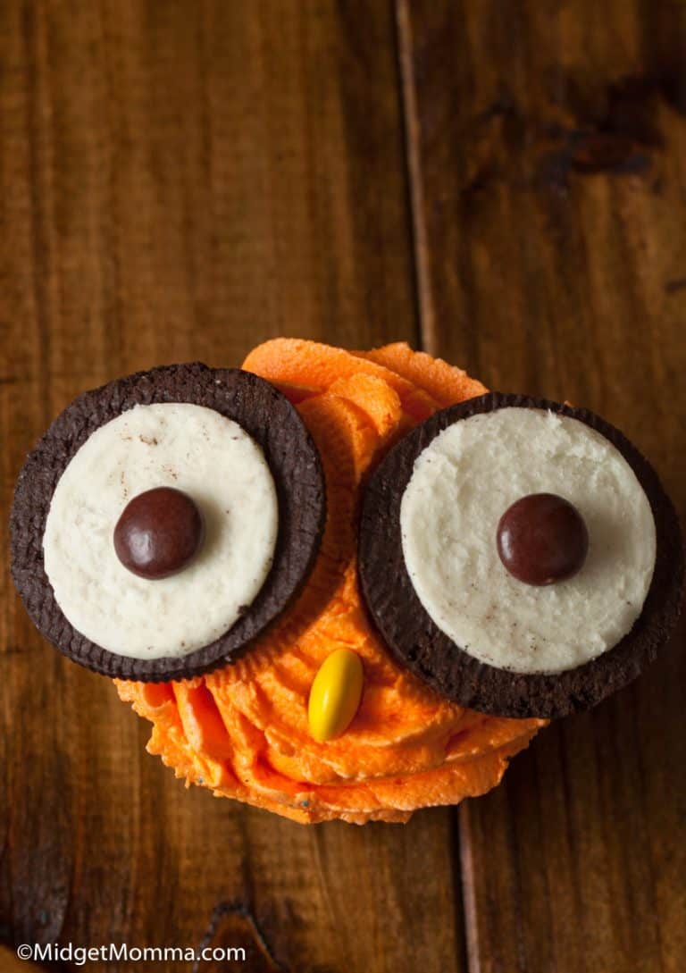 Owl Cupcakes • MidgetMomma
