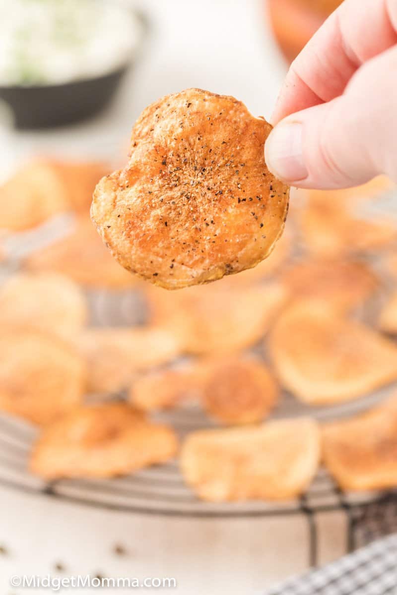 Salt and Pepper Potato Chips being held in a hand