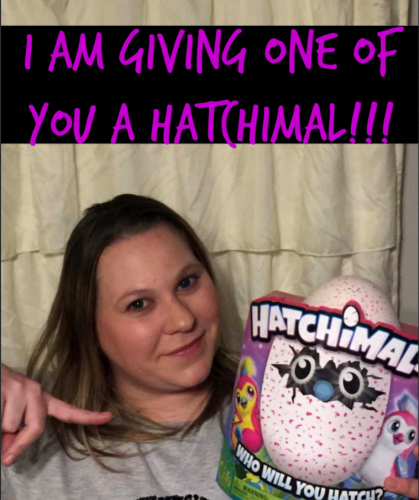 Hatchimals Youtube For Kids Hatchimals Youtube For Kids