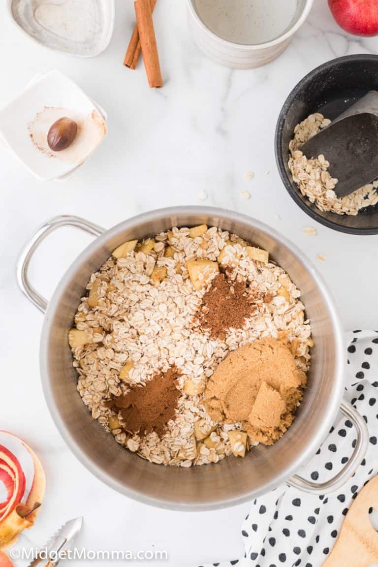 Apple Cinnamon Stove top Oatmeal Recipe • MidgetMomma