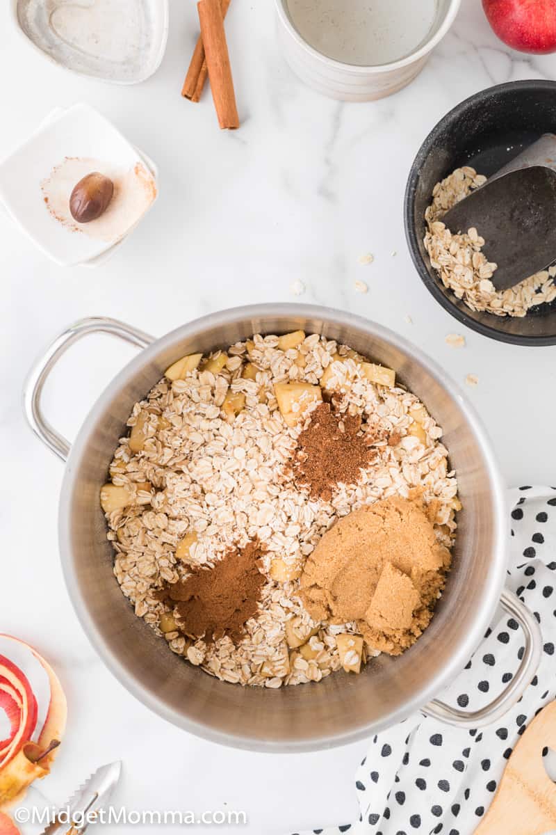 apples, water, oats, cinnamon, nutmeg, brown sugar together in a medium saucepan