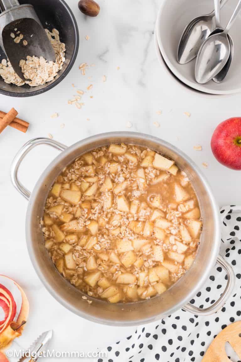Apple Cinnamon Stove top Oatmeal Recipe • MidgetMomma