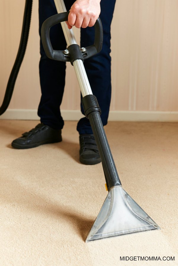 carpet cleaning with borax