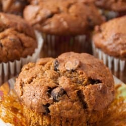 pumpkin banana chocolate chip muffins