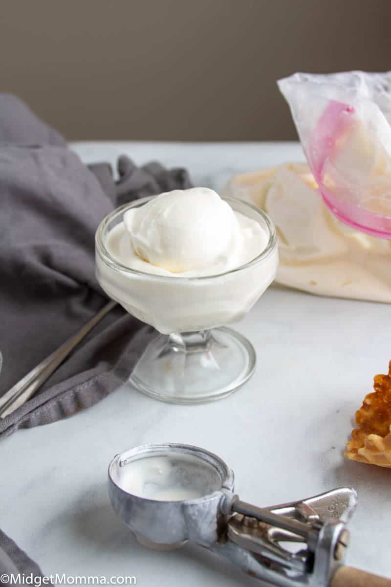 bowl of ice cream made in a bag