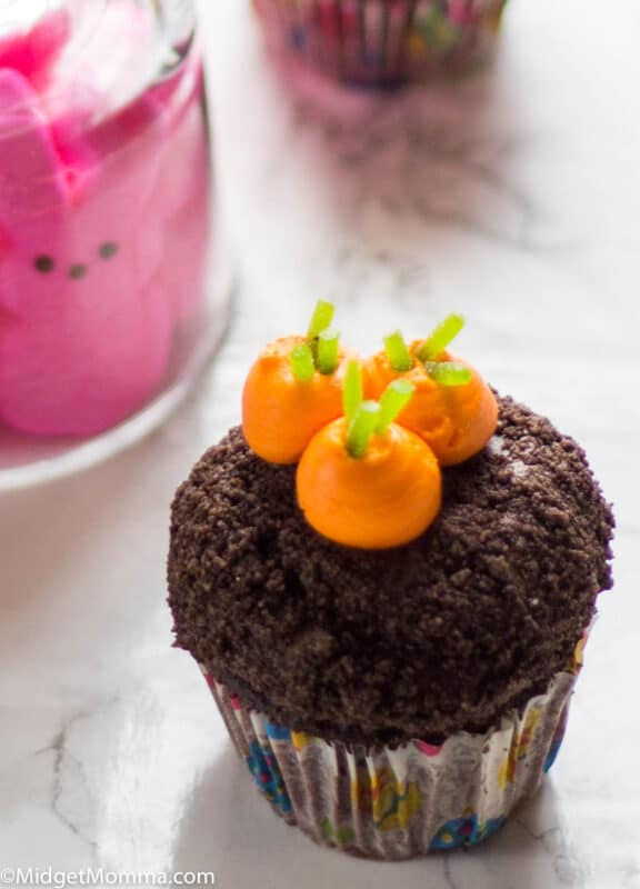 Garden Carrot cupcake
