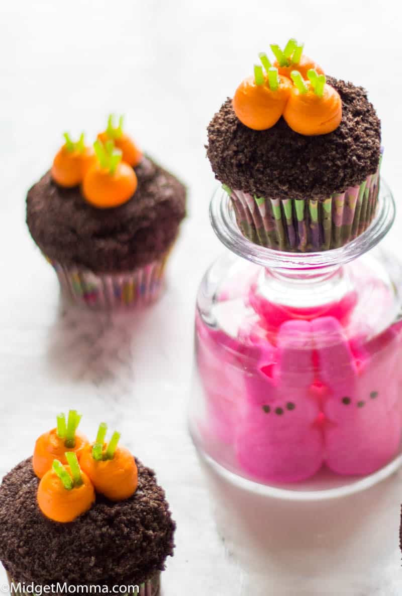 Garden Carrot cupcake