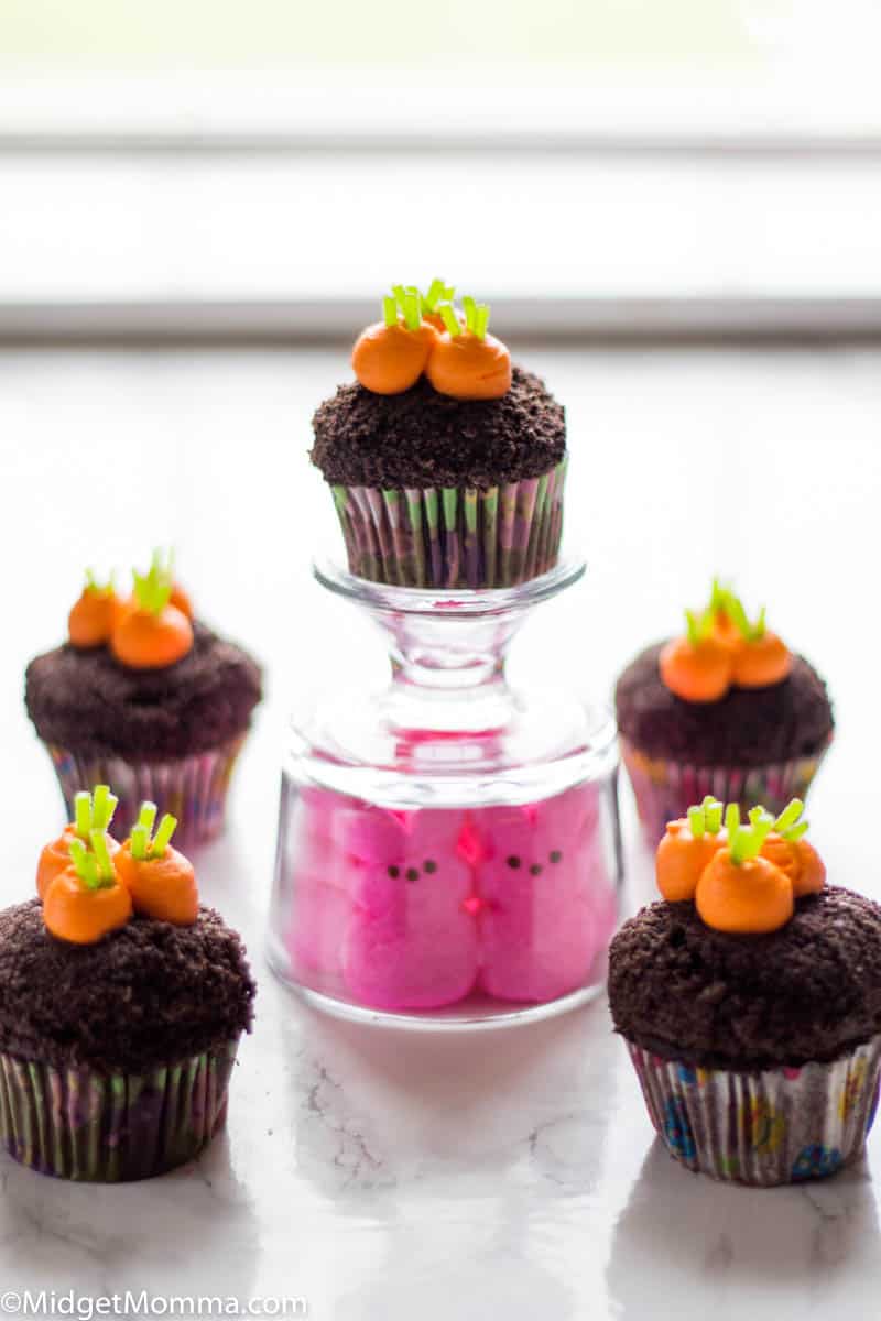 Garden Carrot cupcake