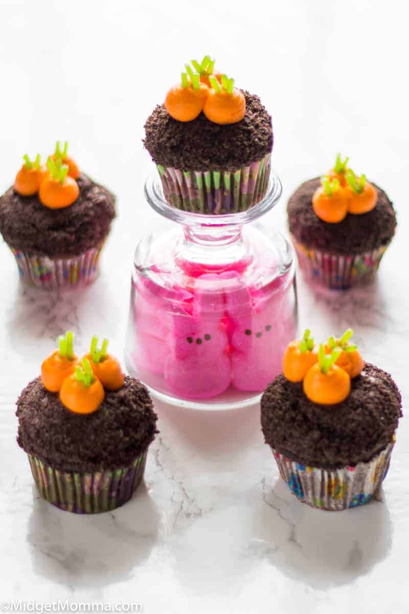 Garden Carrot cupcakes