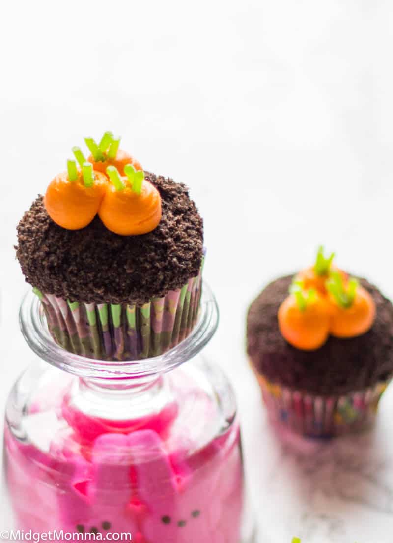 Garden Carrot cupcake