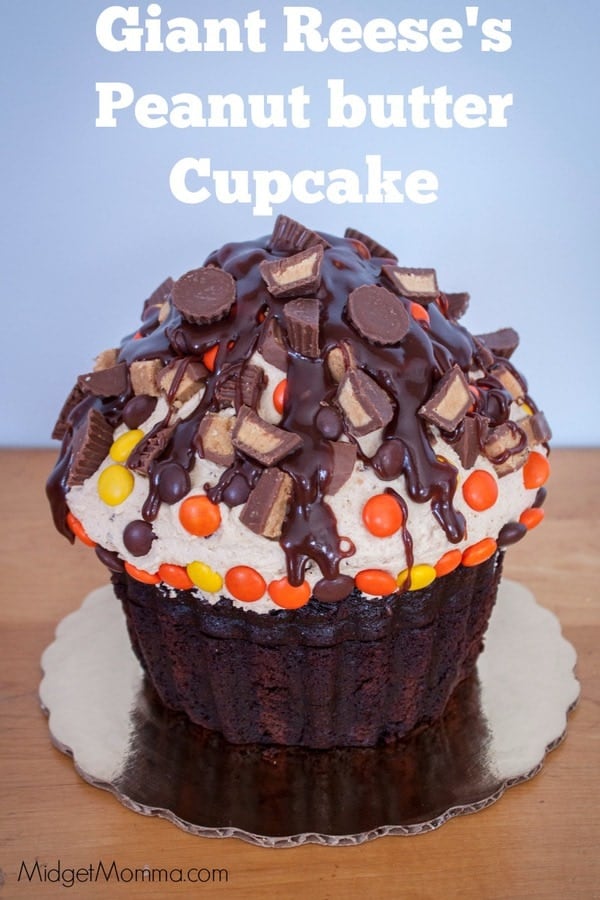Reeses Pieces Cupcake Mix