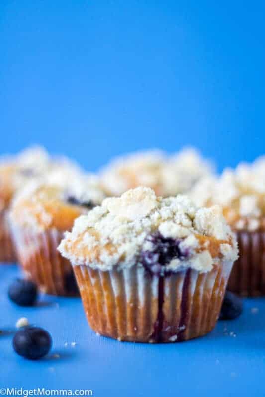 Blueberry Streusel Muffins with Homemade Crumb Topping
