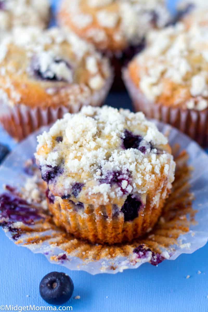 Blueberry Streusel Muffins