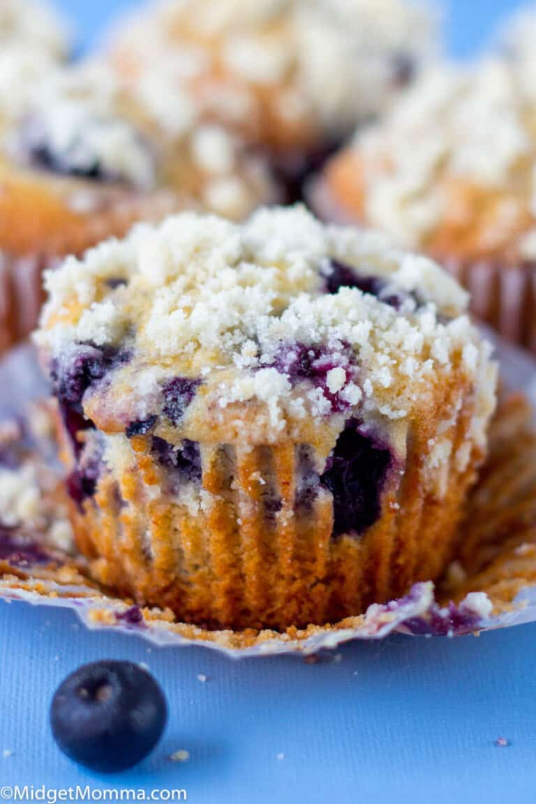 Blueberry Streusel Muffins with Homemade Crumb Topping