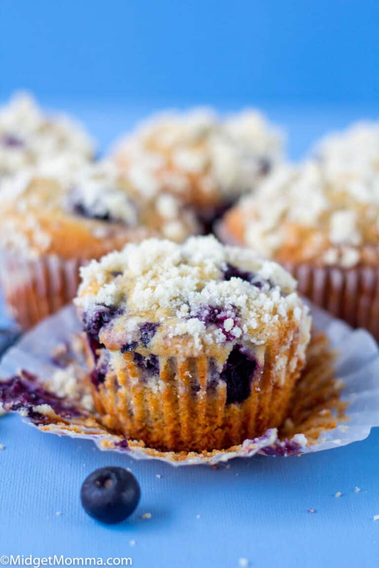 Blueberry Streusel Muffins with Homemade Crumb Topping