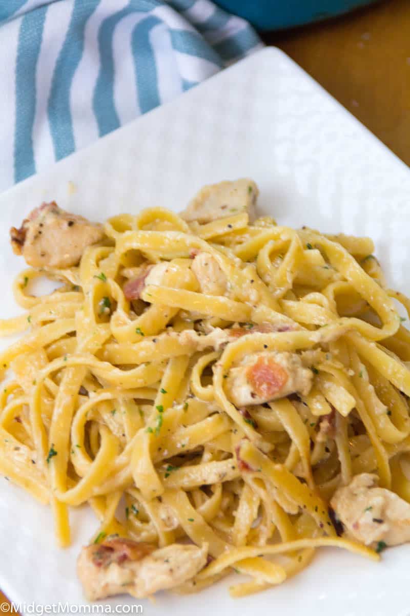 chicken Alfredo pasta on a white plate