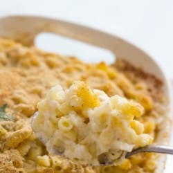 white cheddar macaroni and cheese