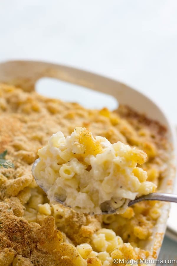 white cheddar macaroni and cheese