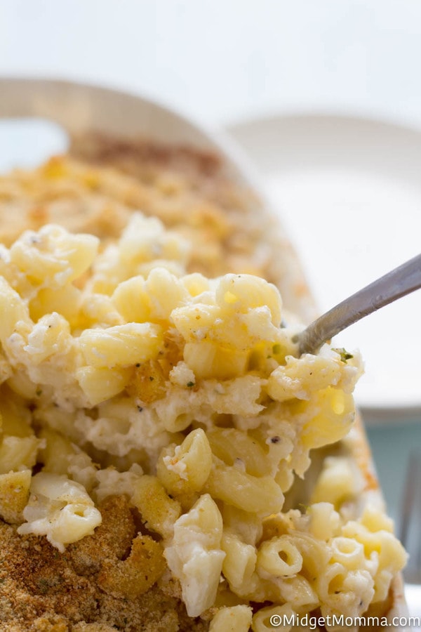 white cheddar macaroni and cheese