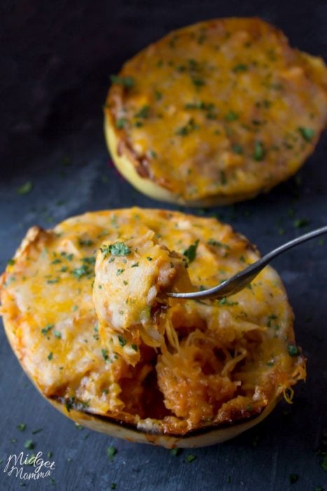 chicken and spaghetti squash