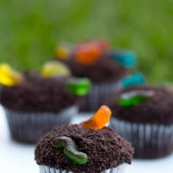 cup of dirt cupcakes