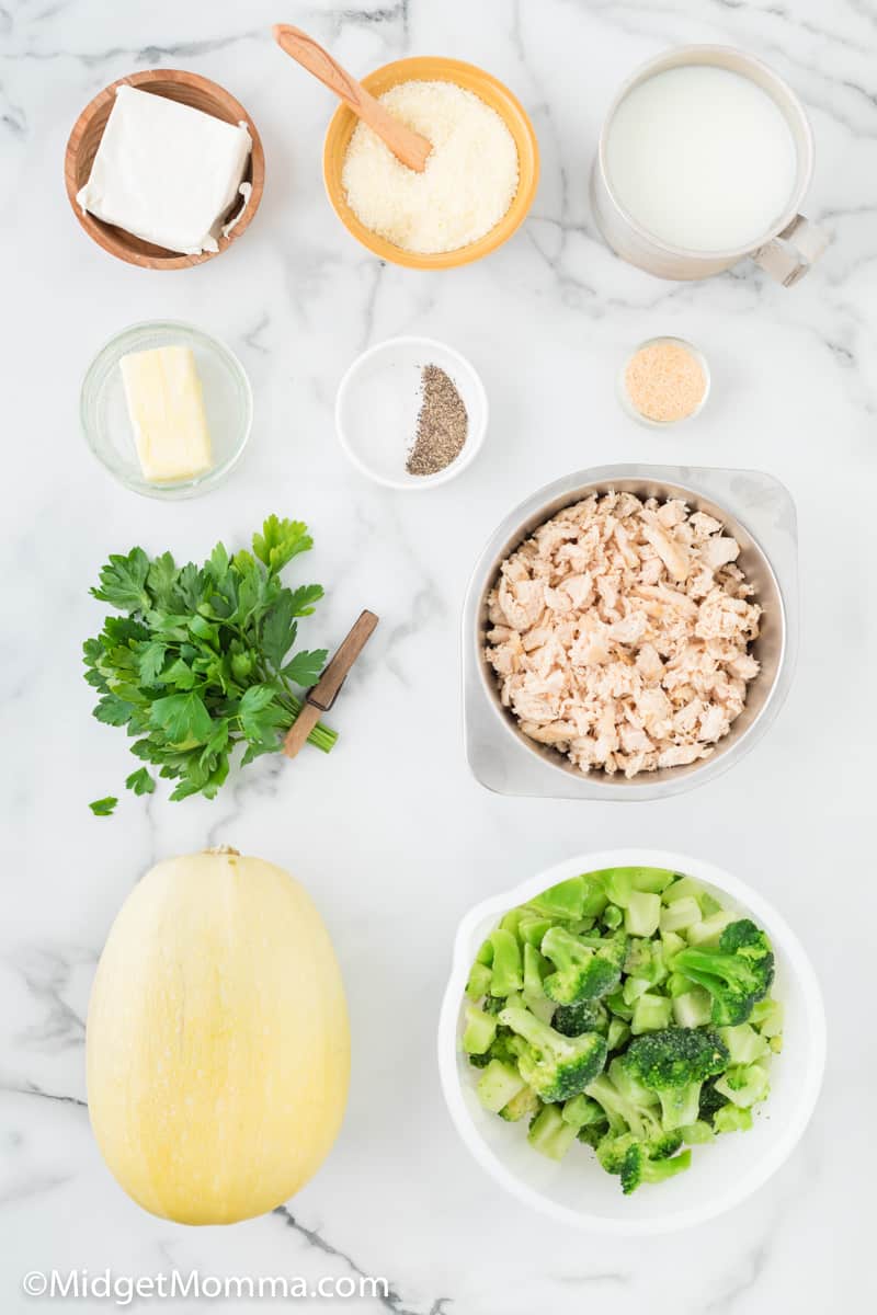 Chicken and Broccoli Alfredo Spaghetti Squash ingredients