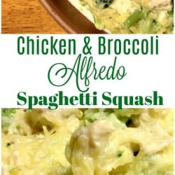 Spaghetti Squash Chicken and Broccoli Alfredo. Spaghetti Squash Alfredo, low carb alfredo dinner. Easy Spaghetti Squash Chicken and Broccoli Alfredo