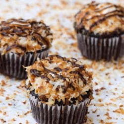 Girl Scout Samoas Cookie Cupcake