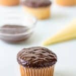 Boston Cream Pie Cupcake Recipe