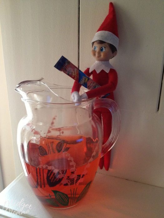 Elf on The Shelf Ideas