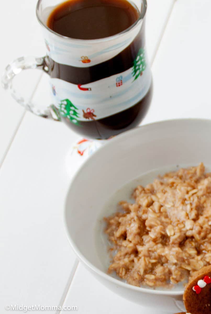 Gingerbread Oatmeal Recipe (Done in 10 minutes!)