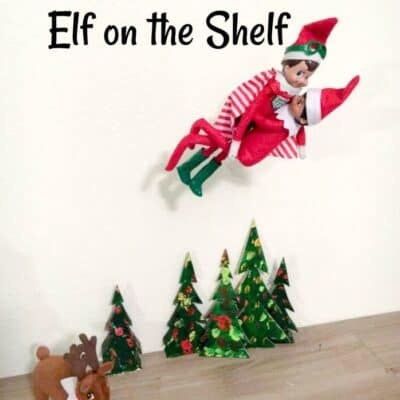 How to Put Elf on the Shelf in a Water Bottle • MidgetMomma