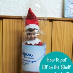 How to put Elf on the Shelf in water bottle