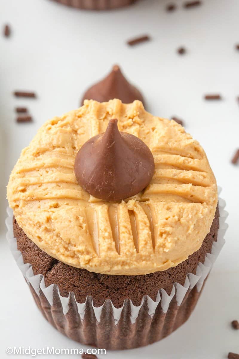 Easy Vanilla Glaze for Cupcakes - Peanut Blossom