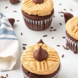 Easy Vanilla Glaze for Cupcakes - Peanut Blossom